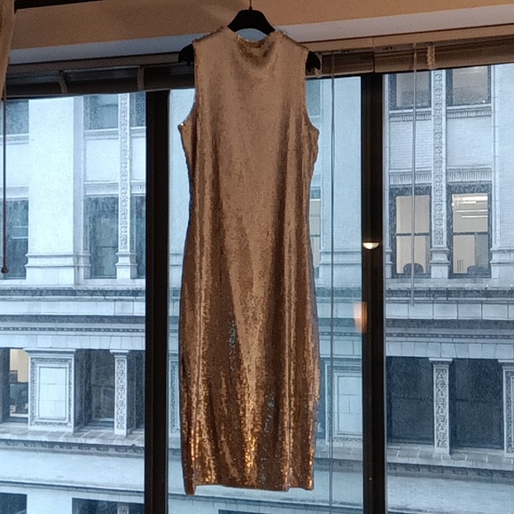 NWT Never Worn Sleeveless Silver Sequin Cocktail Cress! - Picture 11 of 15